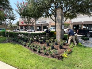 A public lawn having a landscape makeover