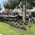 Full-Service Commercial Landscaping