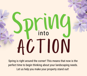 Read more about the article Spring Into Action!