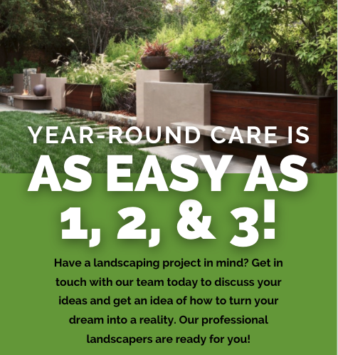 Read more about the article Year Round Care is as easy as 1,2,3!