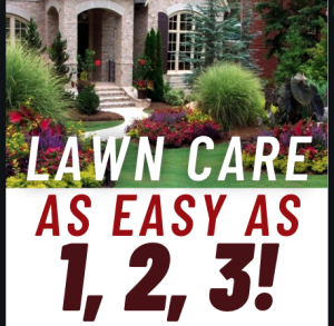 Read more about the article Lawn Care as Easy as 1,2,3!