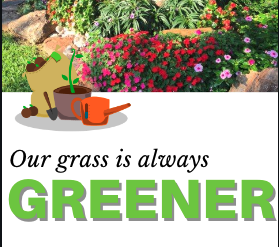 Read more about the article Our Grass is Always Greener!