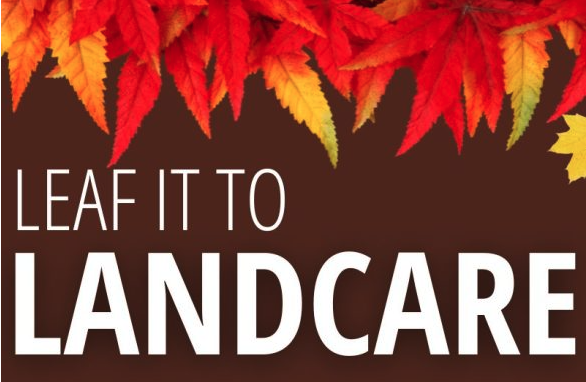 Read more about the article Leaf it to Landcare!