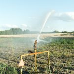 How Irrigation Will Make Summer 2023 Easy For You