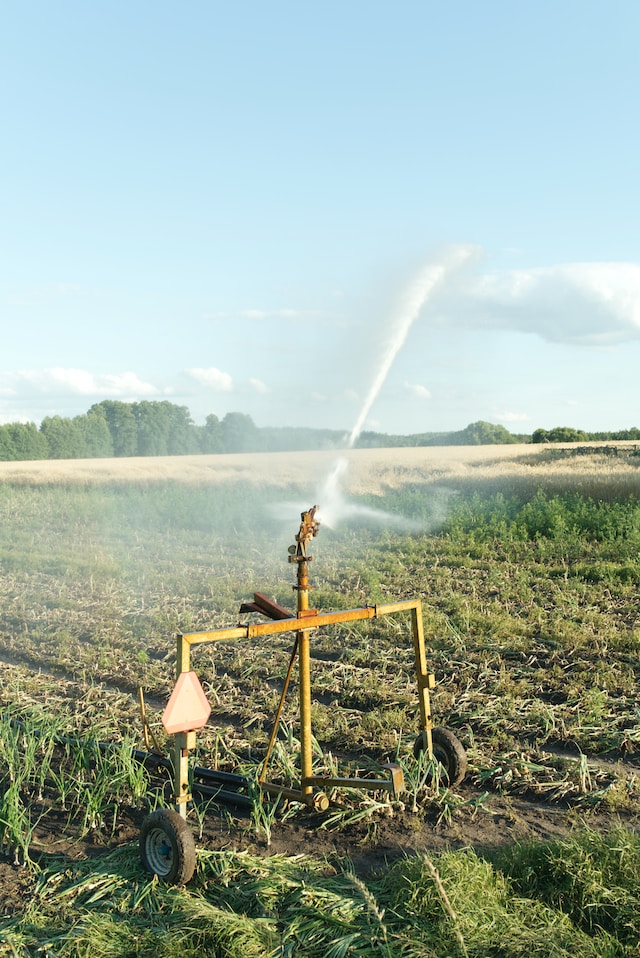 Read more about the article How Irrigation Will Make Summer 2023 Easy For You