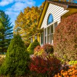 5 Effective Fall Foliage Ideas to Get Into the Autumn Spirit