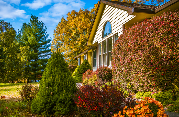Read more about the article 5 Effective Fall Foliage Ideas to Get Into the Autumn Spirit